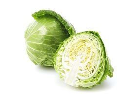 キャベツ