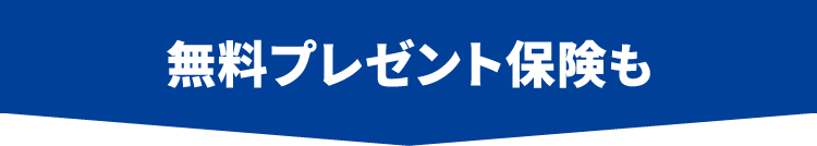 無料プレゼント保険も