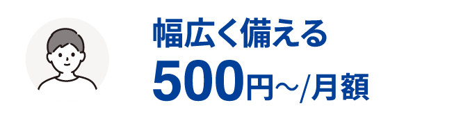 幅広く備える500円～/月額