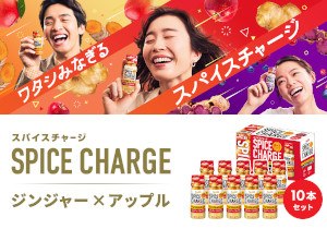 S＆B スパイスチャージ