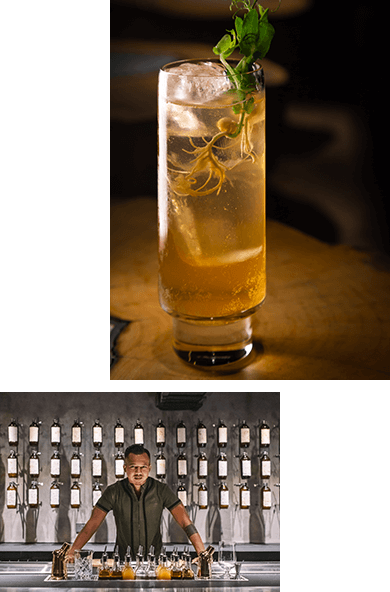 Penicillin イメージ