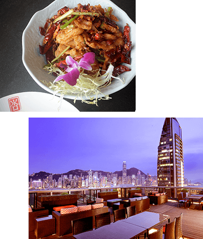 Qi Nine Dragons イメージ